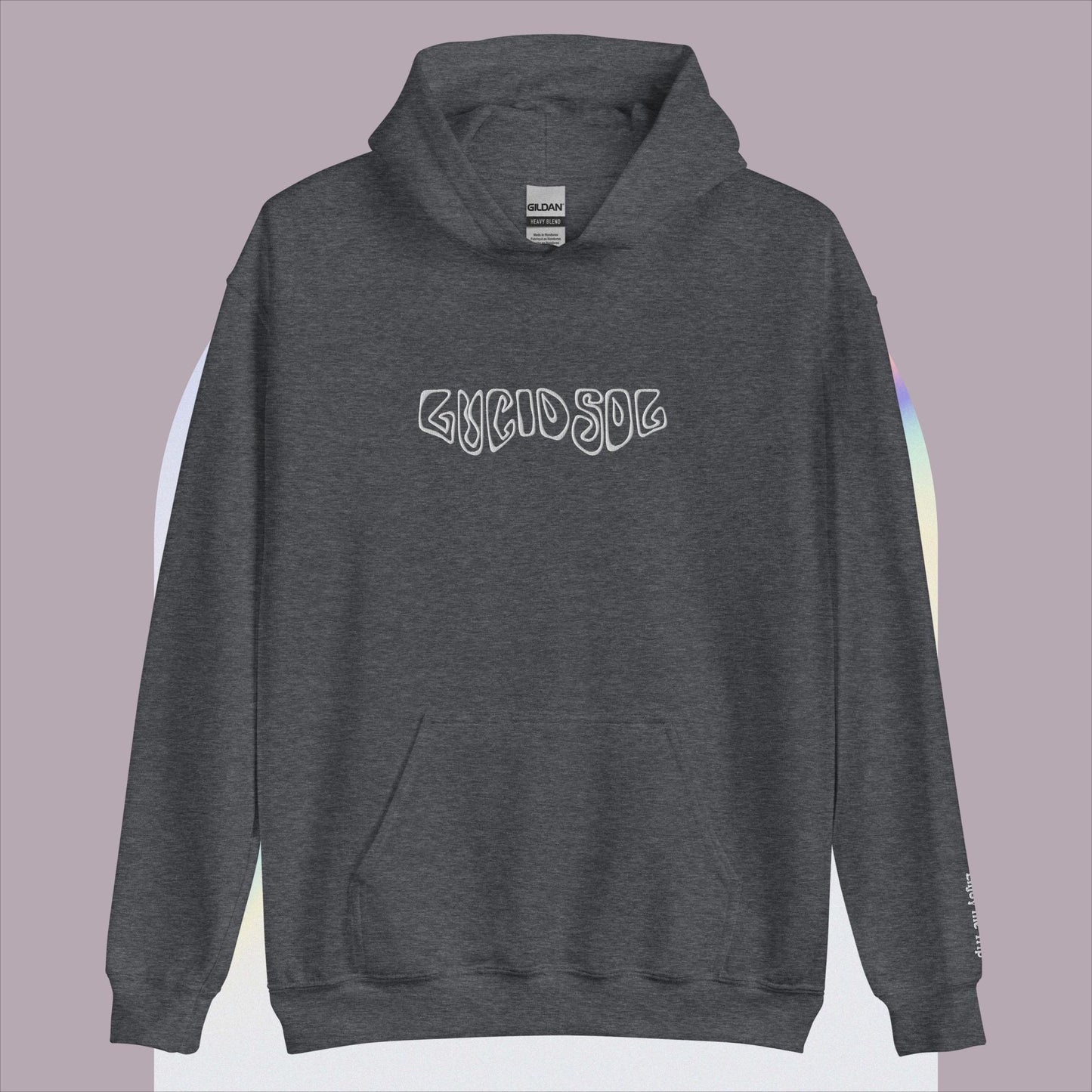 Lucid Sol Embroidered Hoodie