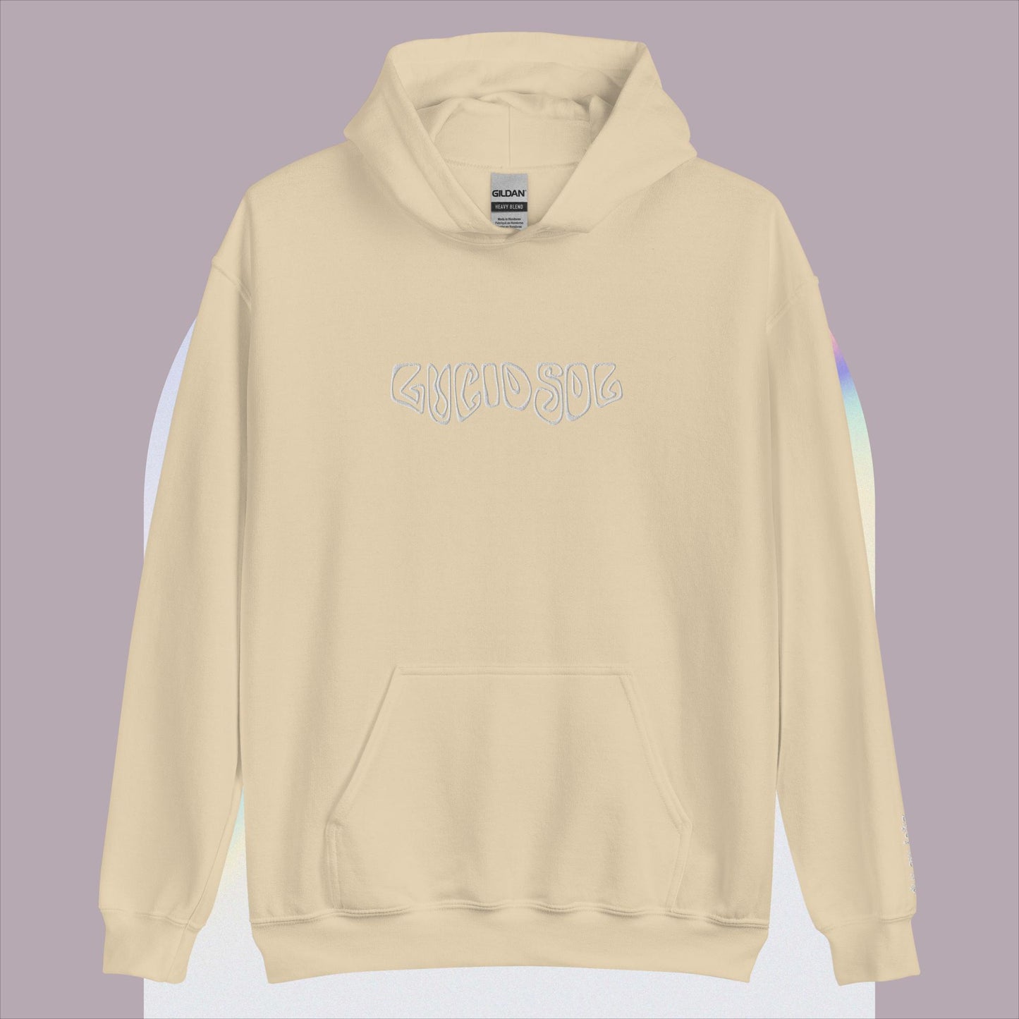 Lucid Sol Embroidered Hoodie